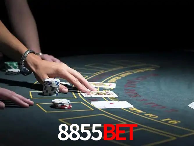 API Integration 8855bet